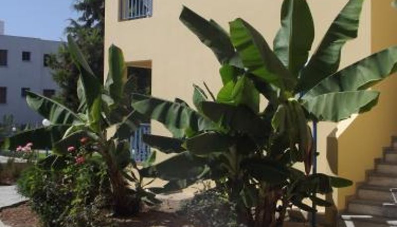 Informação - Kefalonitis Hotel Apartments