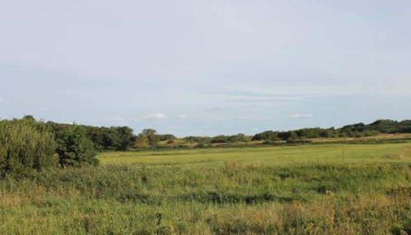Info - Bosch Duin Strand