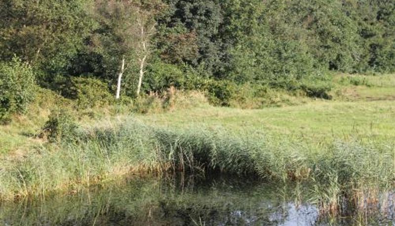 Info - Bosch Duin Strand