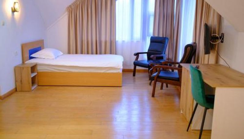 Standardzimmer - Hotel Parc Geoagiu Bai