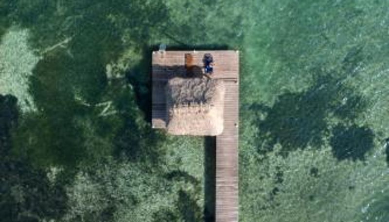 Info - Ocean's Edge Belize