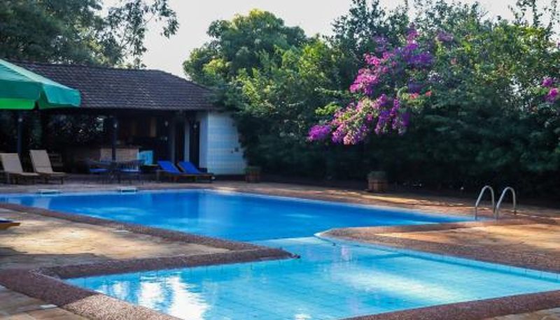 Pool - Nobile Hotel Papillon