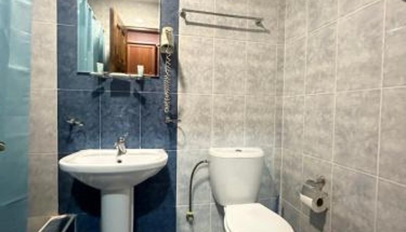 Driepersoonskamer - Park Hotel Imeri kutaisi