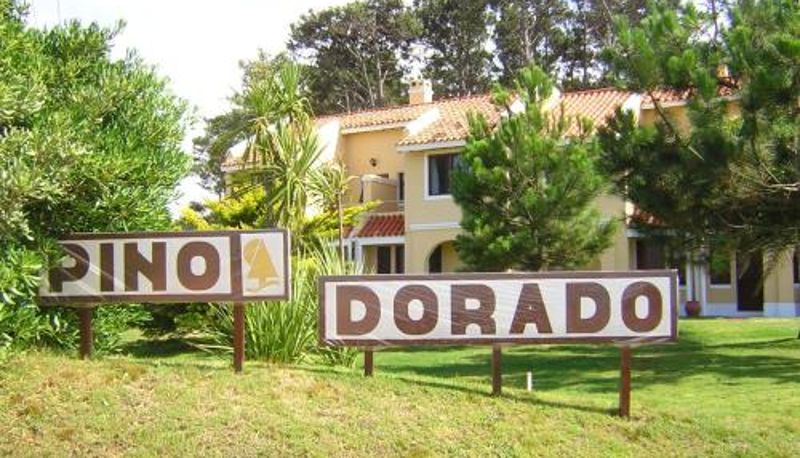 Info - Pino Dorado