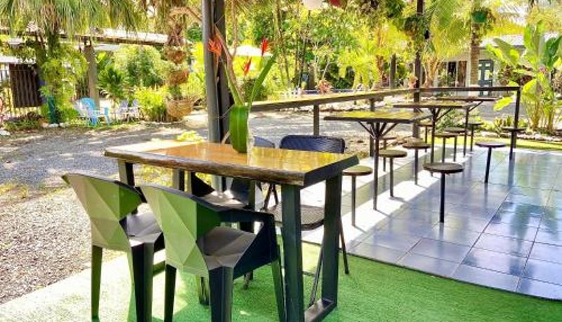 Aile odası - Rooms & Pool Macaws