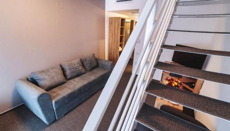 Standardrum - Hotel Domnitei
