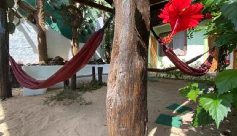 インフォメーションセンター - Hostal Casa Edén
