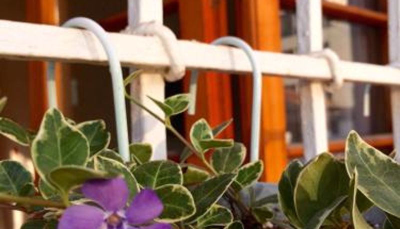 Standart oda - Esencia Hotel Boutique
