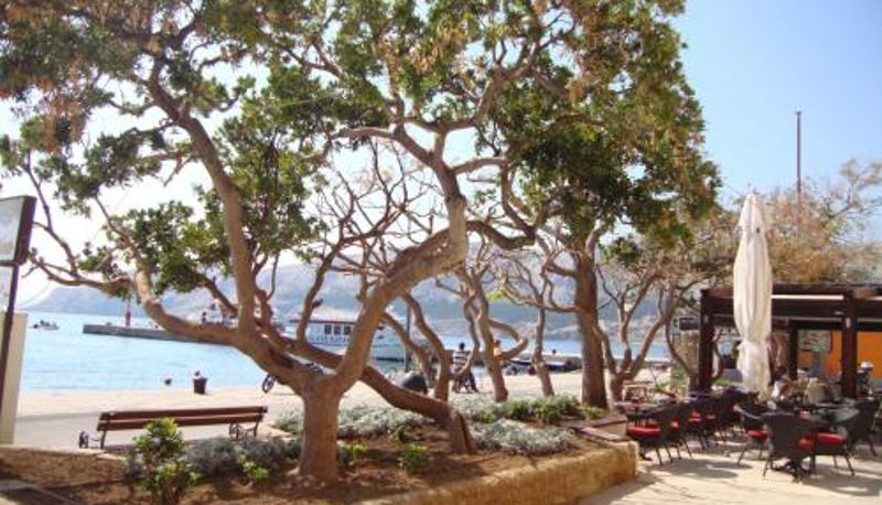 Daire - Villas Corinthia