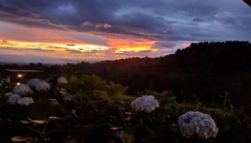Informacje - Finca Paraiso Mountain Retreat near San Jose Airport