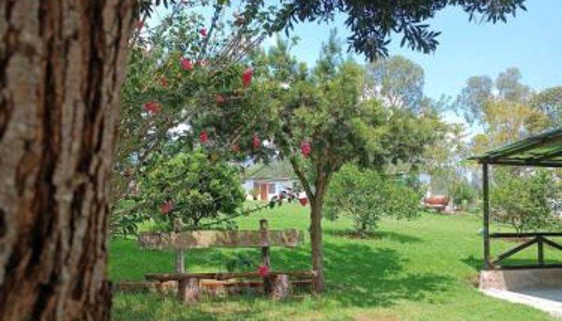 Informação - Finca San Alejandro