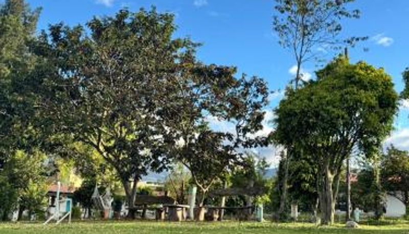 Informação - Finca San Alejandro