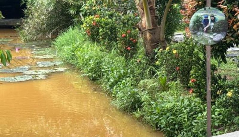 Info - Steps Garden Resort
