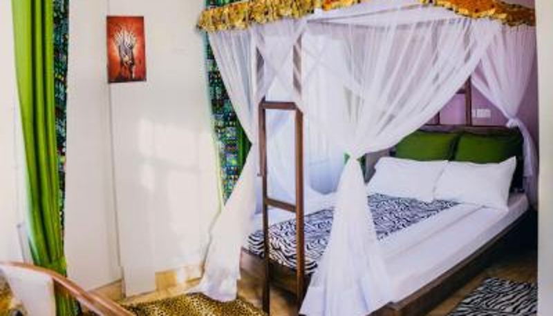 Camera - Kilimanjaro Scenic Homestay