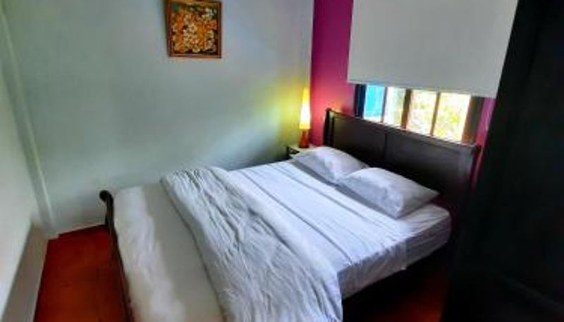 Info - Cabañas San Miguel