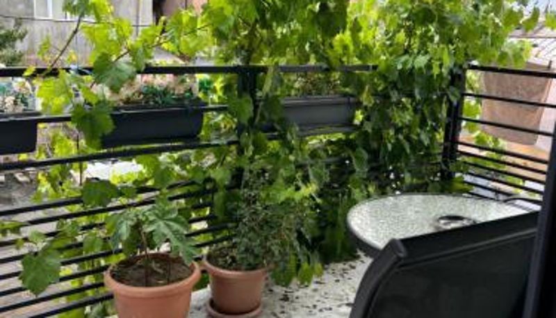 Terasse - STATION BOUTIQUE HOTEL