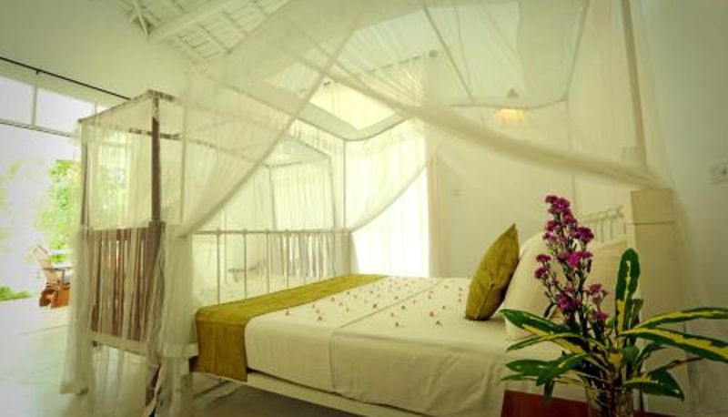 Chambre - Beach Grove Villas