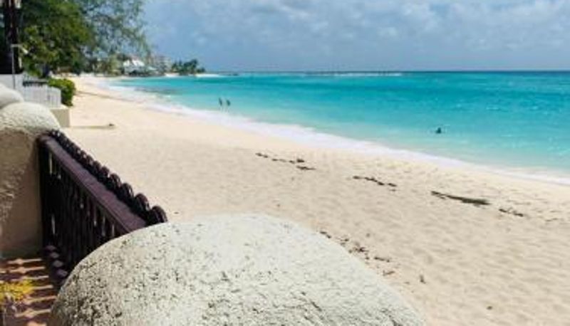 Bilgi - Beach Vue Barbados