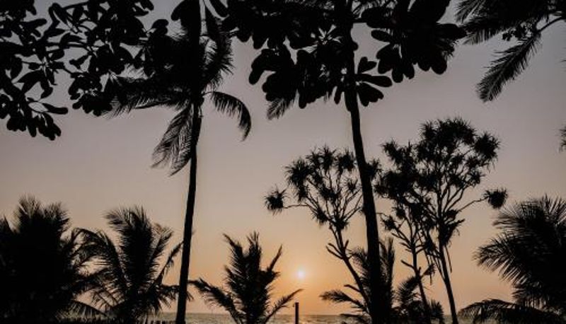 インフォメーションセンター - Earl's Regent Negombo "Golden Shore at Your Door - Find Your Dream Stay"