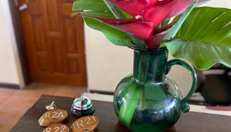 Recepcja - Hotel Santo Vanuatu