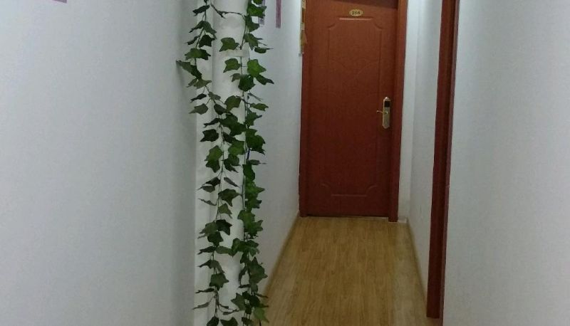 Zewnętrzna część hotelu - July Hotel