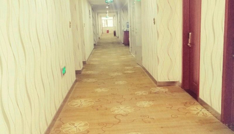 Zewnętrzna część hotelu - Tianjiao Hotel (Hekou Port Branch)