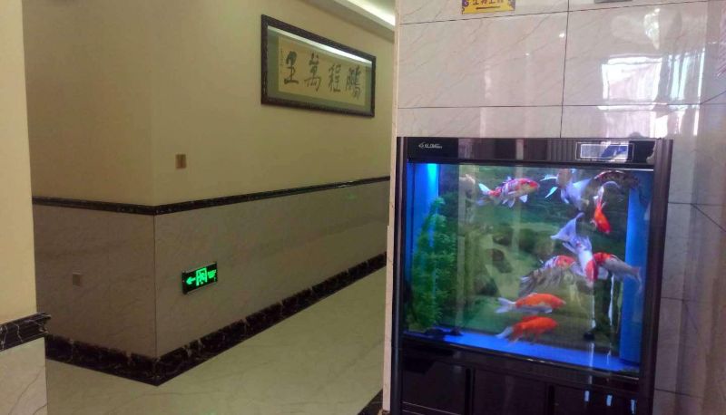 Hotel Außenbreich - Fuyuan Yuanpeng Holiday Hotel