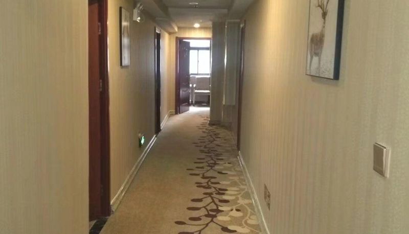 Hotel Außenbreich - Dahe Hongtu Business Hotel