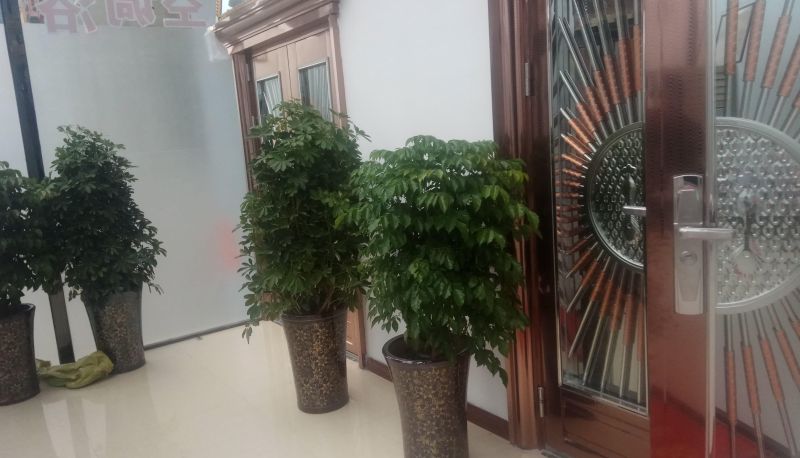 Area esterna dell'hotel - Yiyue Business Hotel