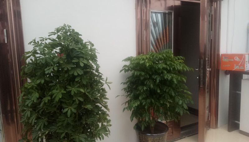 Area esterna dell'hotel - Yiyue Business Hotel