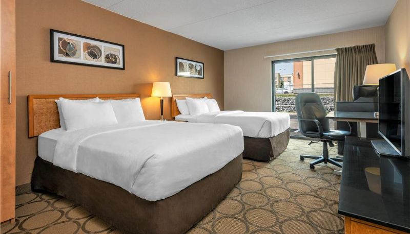 Zimmer - Comfort Inn