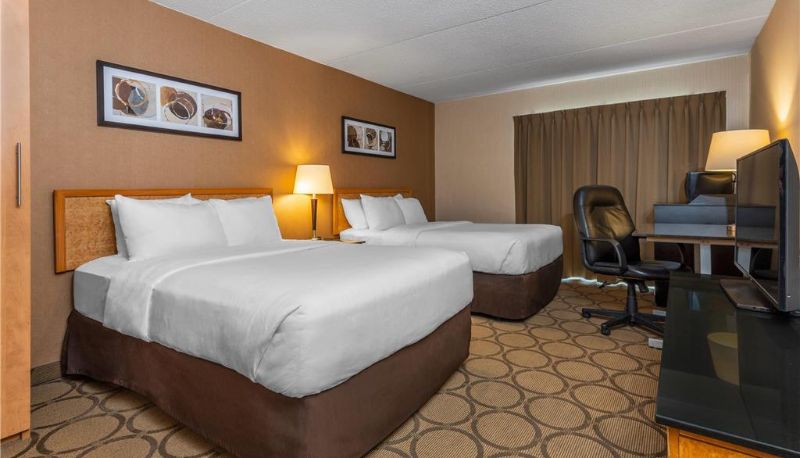 Zimmer - Comfort Inn