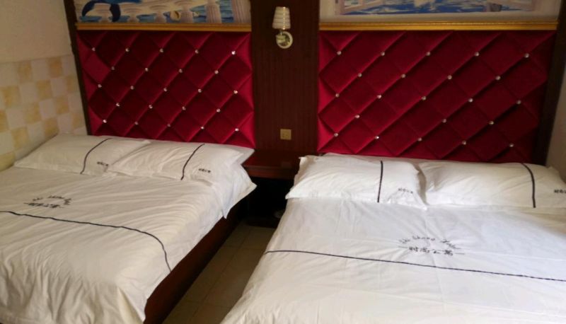 Camera business - Fashionable accommodation