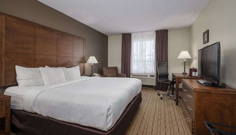 Zimmer - Comfort Inn