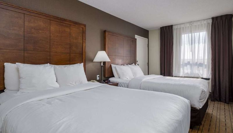 Zimmer - Comfort Inn