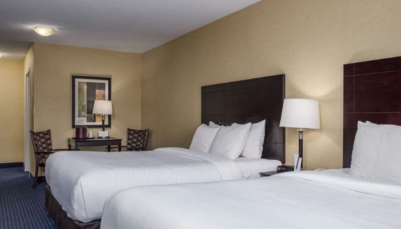Zimmer - Comfort Inn