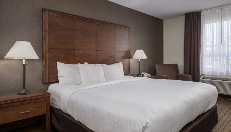 Habitación - Comfort Inn
