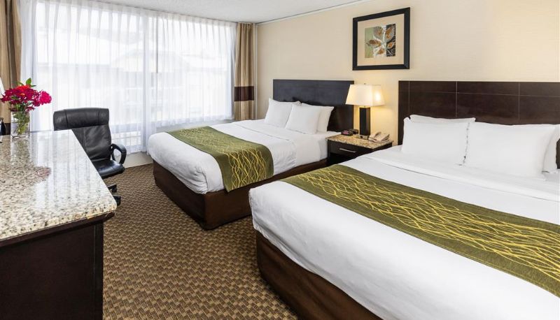 Habitación - Comfort Inn & Suites