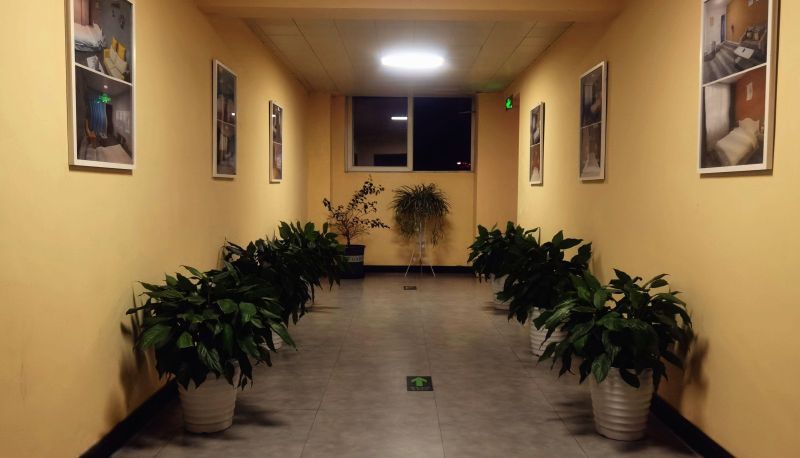 Hotel Außenbreich - Jiujiu Hotel