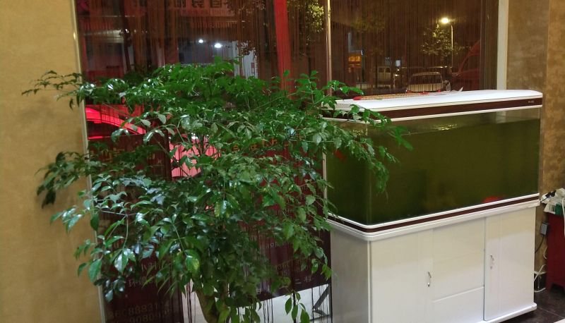 Hotel Außenbreich - Xingcheng Hotel in Yiliang County