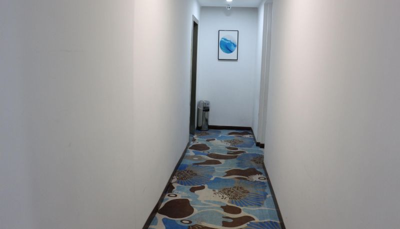 Area esterna dell'hotel - Under Home Inn - Wuhan Honggangcheng Subway Station Huayi Hotel