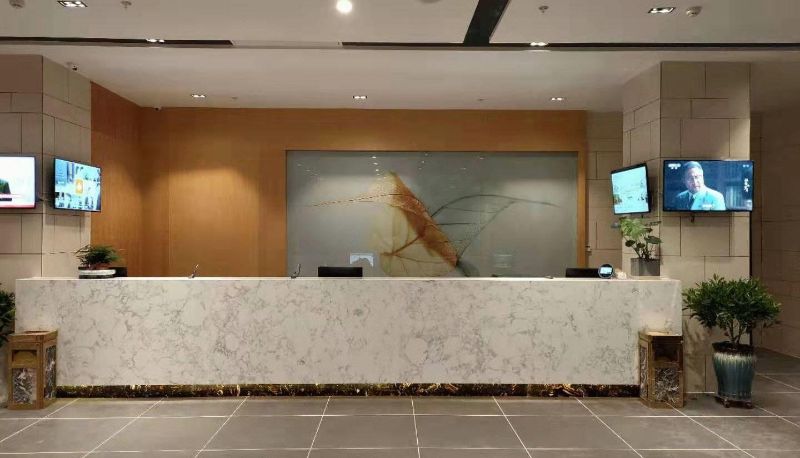 Area esterna dell'hotel - Greenhouse Hotel (Dongping Branch)