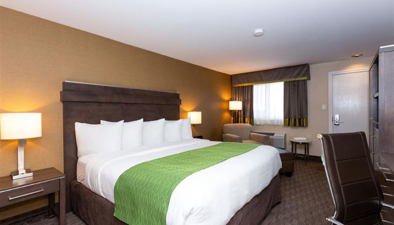 Zimmer - Quality Inn & Suites