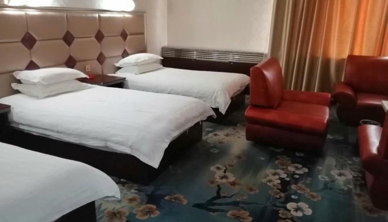 Zimmer - Tianyi Business Hotel