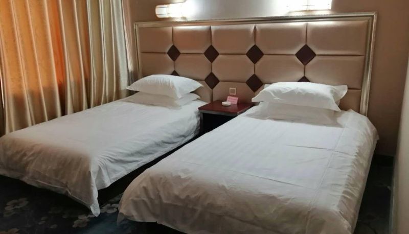 Zimmer - Tianyi Business Hotel