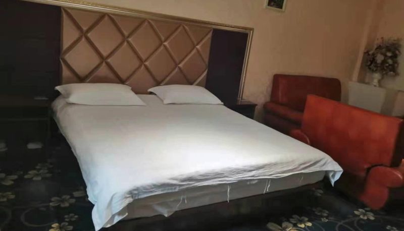 Zimmer - Tianyi Business Hotel