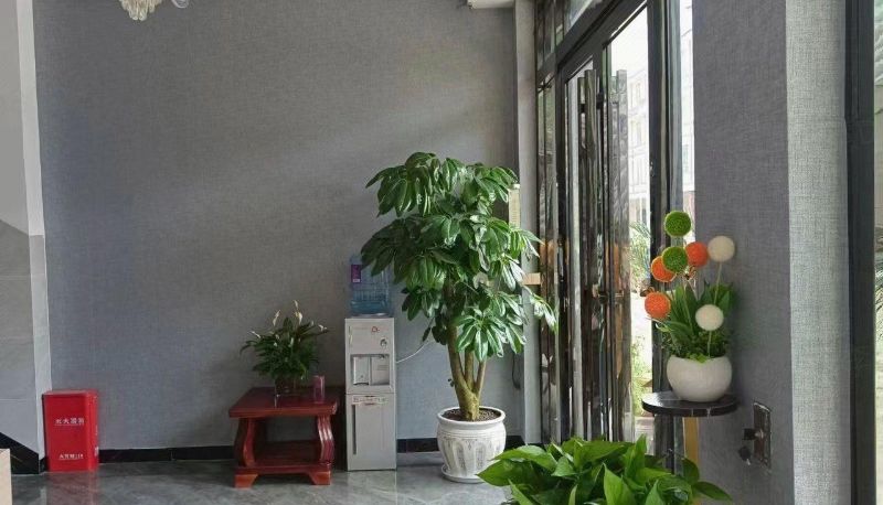 Area esterna dell'hotel - Loquat Tree Hotel