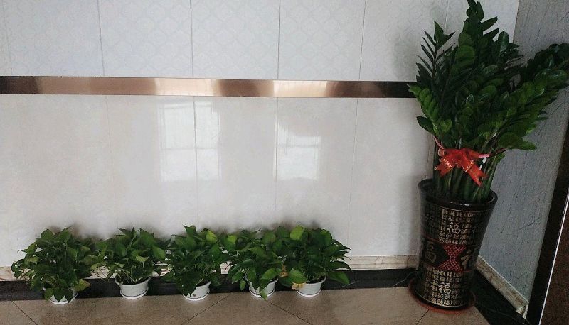 Area esterna dell'hotel - Huibin Hotel (Guangzhou Baiyun Station Branch)
