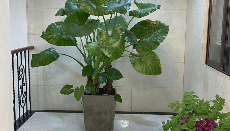 Area esterna dell'hotel - Jinghuayuan Hotel
