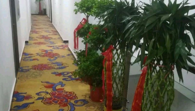 Zewnętrzna część hotelu - Jinhua Hotel